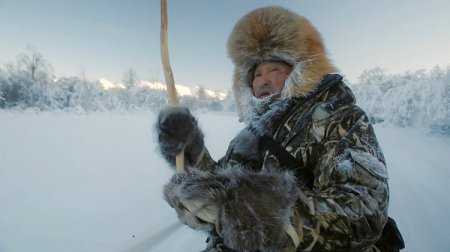 Закончен прием заявок на кинофестиваль "Arctic Open"