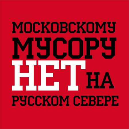 Жители Сольвычегодска: Путин - помоги, Орлов - не выдай
