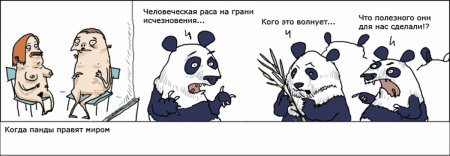 картинка карикатура прикол WWF панды