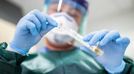 Пятничный коронавирус зацепил в Поморье 86 человек