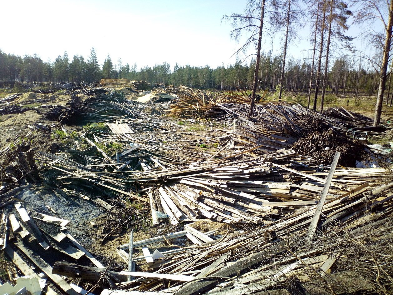 Полигон в Архангельской области