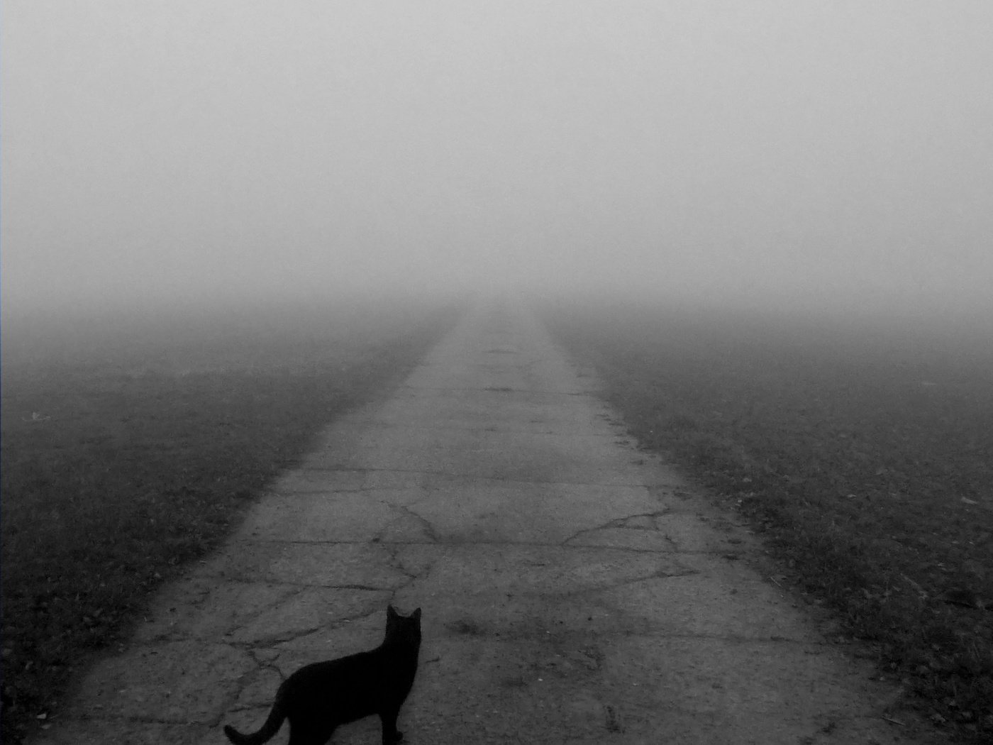 Картинки дорога в никуда со смыслом