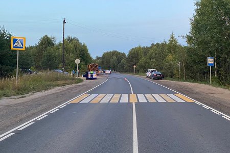 В Котласском районе КАМАЗ насмерть сбил 6-летнего мальчика