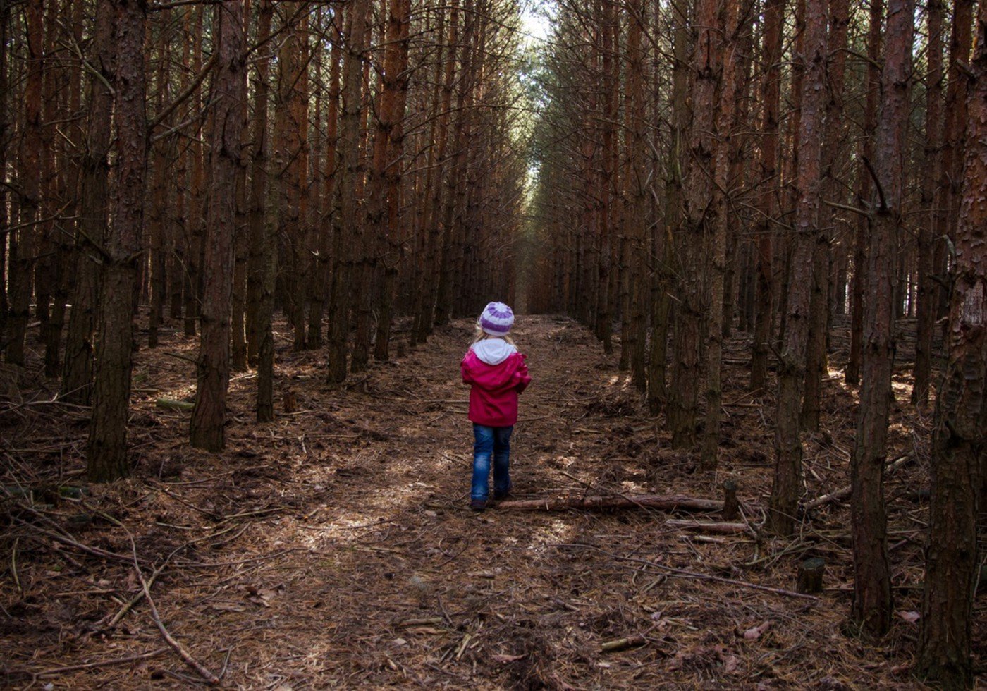 1 из 3 в котором можно заблудиться. Ребенок один в лесу. Девушка заблудилась в лесу. Девочка в лесу. Человек в лесу.