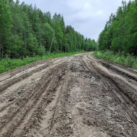 Главе Онежского района вынесли предостережение за отвратительные дороги