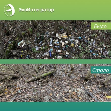 На острове Краснофлотский ликвидирована стихийная свалка мусора