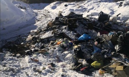 Жители Архангельской области устраивают мусорные свалки где попало