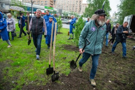 Дмитрий Морев призывает народ к озеленению Архангельска