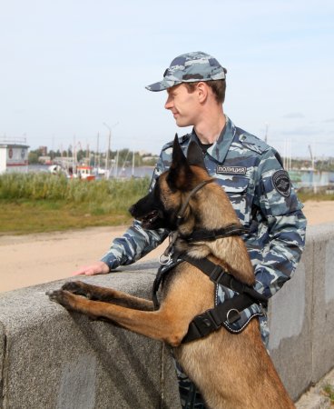 Служебная собака из Поморья стала третьей на всероссийском конкурсе