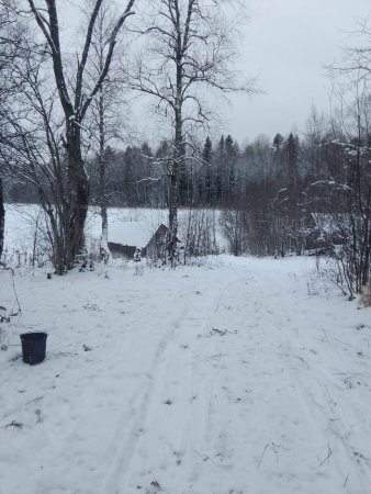 Житель Архангельской области погиб подо льдом озера