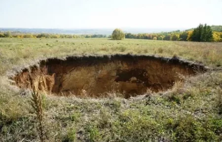 В Архангельской области выявлены злостные нарушения правил землепользования