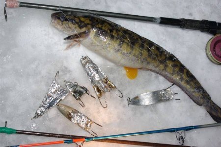 Праздник зимней рыбалки 