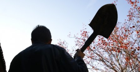 Пожилой житель Поморья получил 6 лет за попытку убить сына лопатой