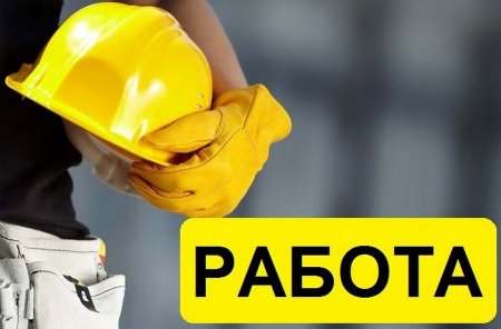 Рынку труда Архангельской области больше требуются умелые руки, чем умные головы