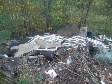 Прокуратура обнаружила в Холмогорском округе бесхозную свалку мусора