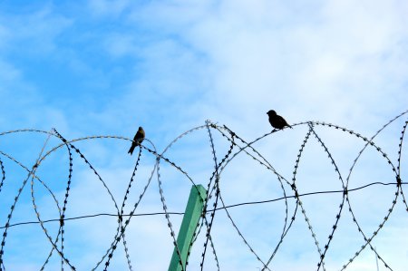 В Поморье начал действовать закон о пробации заключенных
