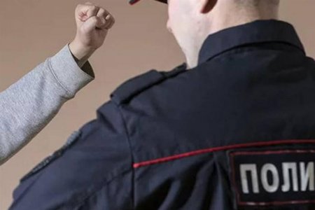 Жительница Северодвинска обидела полицейского словесно и действием
