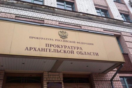 В Архангельской области вынесено 313 незаконных правовых актов