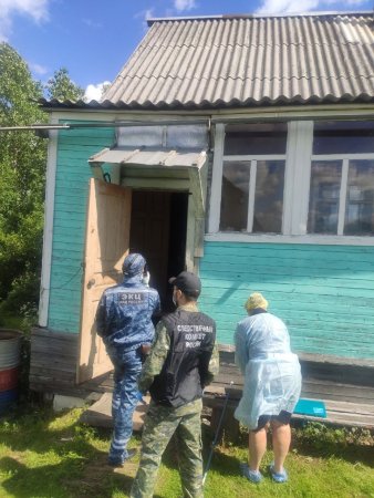 В деревне под Новодвинском убили женщину ради банковских карт