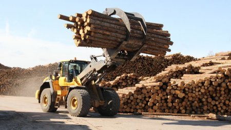 Промышленность Архангельской области в цифрах и фактах