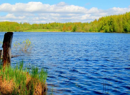 Озеро Большое Коровье в Архнгельской области не определилось с границами