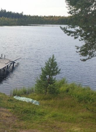 Северодвинец утонул в озере Белое при очевидных обстоятельствах