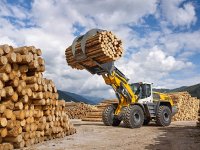 В Архангельской области у лесопромышленных компаний упал спрос на сотрудников